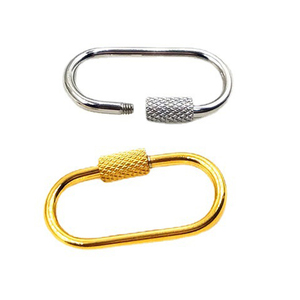 Mousqueton à vis en acier inoxydable, argent, or, mousqueton, chaîne rapide, connecteur ovale - Product Image 1
