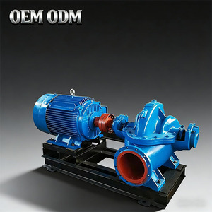 Single Stage High Pressure Double <b>Suction</b> <b>Pump</b> - SH Series Stainless Steel High Power Electric Industrial <b>Pump</b> - Product Image 1