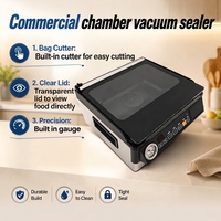Scelleuse sous vide commerciale personnalisable pour marinade rapide de viande liquide, 50 L/MIN, 0,98 Bar