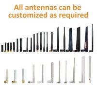 Antenne omnidirectionnelle en fibre de verre haute performance 5dBi Gain 1.4GHz avec connecteur femelle SMA pour drones et drones