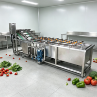 Jinglong Nieuwe Multifunctionele Wortelgroente- en Fruitwasmachine Motor voor Groenteverwerkingsbedrijf Aardappel Wortel