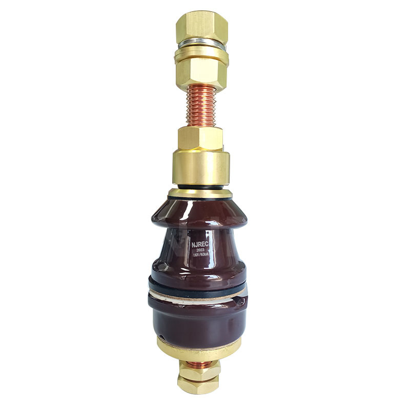 36kV630A DIN42532 HV Outdoor <strong>Transformer</strong> <strong>Bushing</strong>