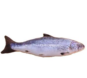 Jouet en peluche électrique à déplacement automatique d'herbe à chat, robot écologique à queue de vague douce, poisson saumon, style réaliste - Product Image 6