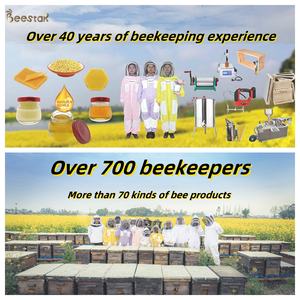 2025 vente chaude ensemble complet Langstroth en bois apiculture ruches miel flux automatique haute qualité ruche d'abeille pour rucher - Product Image 6