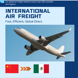Trasporto Aereo per il Messico da Shenzhen e Guangzhou, Partner Logistico Internazionale Affidabile con Trasporto Stabile - Product Image 2