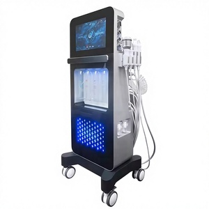 Máquina Facial Multifuncional 17 en 1 de Acero Inoxidable con LED de 2000W para Uso Doméstico y Hotelero - Product Image 2