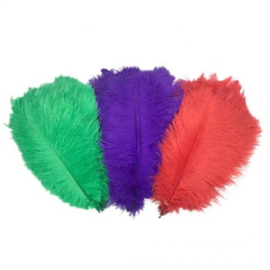 Màu Xanh Lá Cây 75-80Cm Đà Điểu Lông Cho DIY Craft Tóc Trang Phục Câu Cá Phụ Kiện Fly Buộc Chất Liệu Giấc Mơ Bắt Fringe Trang Trí Nội Thất - Product Image 3