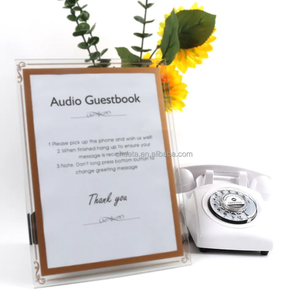 Vintage Audio-Gastenboek Neemt Berichten Op Die Zijn Achtergelaten Door Deelnemers Op Uw Speciale Evenement, Net Als Het Achterlaten Van Een Voicemailbericht