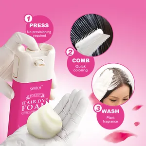 Wholesale Private Natural Semi Permanent Private Label Hair Spray Color Hair Dye Foam