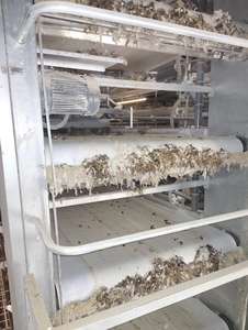 Sistema automático de raspado de estiércol de pollo para jaulas de aves de corral Equipo eficiente de tratamiento de estiércol de pollo para ganado - Product Image 2