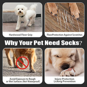 100% कपास पालतू कुत्ते के इनडोर बुना हुआ मोजे, जाल ठोस पत्र पैटर्न और सफेद pvc पैर के संदेश गर्मियों के लिए विरोधी पर्ची - Product Image 3