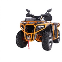 Véhicule tout-terrain sur mesure haute puissance 300cc, 4x4 haute performance, buggy de montagne tout-terrain, buggy de plage