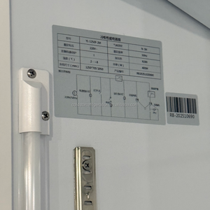 Refrigerador Comercial COLDSTAR, Congelador con Puerta de Vidrio, 1 Puerta, Vertical, Tipo Canopy, para Bebidas, 500L, Enfriamiento por Ventilador - Product Image 3