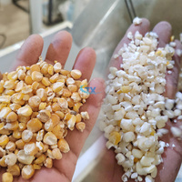 Machine à moudre le maïs au Mozambique, coût de la machine à moudre le maïs au Kenya