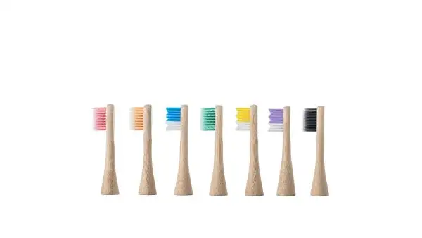 Zhijian bambu elektrikli yedek diş fırçası kafaları çevre dostu değiştirilebilir diş kafaları özel Logo