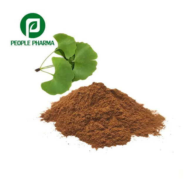 USP standard DMF certified Gingko Biloba Leaf Extract Powder 24 / 6