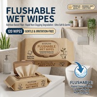 Lingettes biodégradables jetables personnalisables avec logo, lingettes humides douces en fibres végétales, fabricant OEM