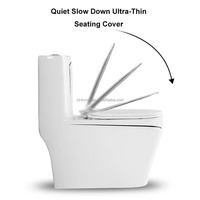WC monobloc de luxe en céramique, à poser au sol, double chasse, abattant à fermeture douce, design ligne dorée, 305 mm, pour hôtels et villas