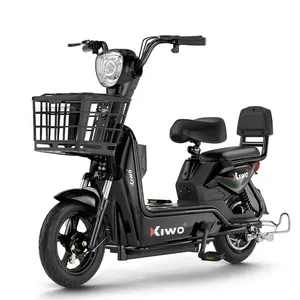 Bicicleta Eléctrica de Dos Plazas de Alta Calidad y Durabilidad, Motor Trasero de 500W, 48V 13AH, Largo Alcance, 3 Velocidades, 50km, Bicicleta Eléctrica Urbana para Adultos - Product Image 1