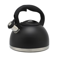 Bouilloire sifflante en acier inoxydable 3,0 L, design moderne et écologique, avec fond à induction de qualité alimentaire, nouveau modèle