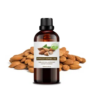 Factory Direct Supply Hot Selling Pure Natural Organic Apricot Kernel Oil for hair and skin care with private label