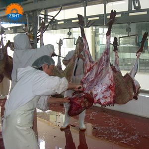 Cuchillo Motorizado de Alta Velocidad ZBHT de Acero Inoxidable 304 para Desollado de Carne, Equipo de Procesamiento de Carne para Ganado Vacuno, Ovino y Porcino en Mataderos - Product Image 6