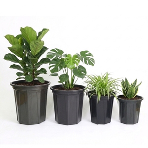 Professional PP Plastic Nursery Pot Thick Wall Injection Molded Grow <b>Container</b> Black Round Plant Pot with Bottom Drainage Holes - Product Image 1
