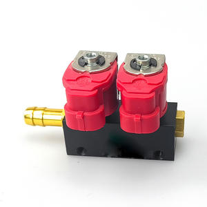 新型液化石油气/CNG车辆油改气TY2喷雾导轨2气缸零件 - Product Image 5