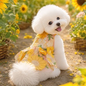 Nouvelle robe pour animaux de compagnie en coton mélangé, écologique, mignonne, pour chiens de petite et moyenne taille - Product Image 4