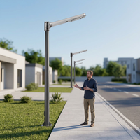 Lampadaire solaire LED monocristallin tout-en-un à haut lumen IP65 30W avec angle de faisceau de 140° et garantie de 3 ans