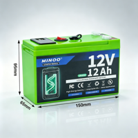 Batterie LiFePO4 12V 24V avec BMS intégré, cycle profond, 153,6 Wh, 6000 cycles, pour solaire, camping-car, marine, hors réseau, onduleur