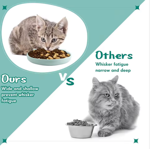 بيع بالجملة ، طبق طعام للكلاب والقطط ، مستلزمات تغذية الحيوانات الأليفة الصديقةمع عبوة وعاء عبر الحدود - Product Image 2