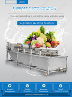 Commerciële Verwerking Machine Fruit En Groente Wassen Apparatuur Fabrikanten In India