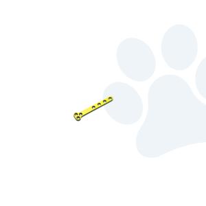 2025 Hoge Kwaliteit Mini Orthopedische Chirurgische Veterinaire Instrumentenkit 1.6 Mm Vergrendelplaat Instrumentenset - Product Image 2