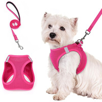 Harnais et laisse pour chien Elite respirant, anti-étranglement, anti-évasion, à enfiler, réfléchissant, en maille aérée souple, pour chiens de taille moyenne et chiots, pour la promenade en extérieur