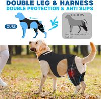 Attelle de genou pour chien de compagnie en gros, pour déchirure du ligament croisé avant, jambe arrière, respirante, attelle de récupération pour genou, soutien pour les pattes arrière, manchon pour pattes arrière