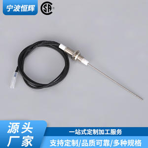 Sensor de Temperatura HF 008 con Cables Integrados para Aparatos de Gas - Product Image 2