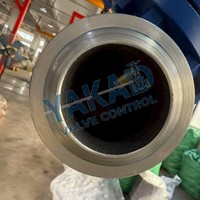 Katup Cek Baja Tahan Karat Tipe Wafer Dua Pelat dengan Dudukan EPDM PTFE untuk Pengolahan Air Limbah
