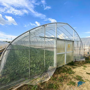 Rumah Kaca Pertanian Komersial Berukuran Besar dengan Bentuk Elips, Sistem Ventilasi, Irigasi, dan Tenaga Surya - Product Image 5