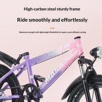 Vélo de montagne pour enfants et adolescents, cadre en acier au carbone, frein à disque mécanique, suspension, vélo pour enfants, 18, 20, 22, 24, 26 pouces