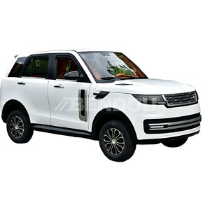 Direkter Fabrikpreis Geschlossenes Elektrisches Mini-Auto mit 4 Rädern und Heizung für den Winter - Product Image 3