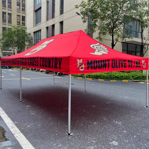 Cao cấp kích thước lớn <span class=keywords><strong>4x6m</strong></span> 4x8m 5x5m 5x10m gấp tán Lều trong 50mm Nhôm hexaganol Fram cho các sự kiện ngoài trời - Product Image 1