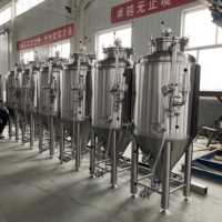 Cuve de fermentation de bière 200L Cuve de fermentation de bière isobare 200L Cuve de fermentation de brasserie 200L Unitank Solution clé en main Carry Brewtech