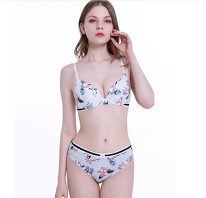 Ensemble de soutien-gorge sexy pour femmes, imprimé, vente chaude, ensemble de lingerie, photos - Product Image 3