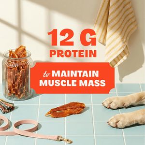 Snacks <span class=keywords><strong>de</strong></span> <span class=keywords><strong>Pollo</strong></span> Deshidratado al por Mayor para Perros, 100% Pechuga <span class=keywords><strong>de</strong></span> <span class=keywords><strong>Pollo</strong></span> Real, 1 <span class=keywords><strong>Libra</strong></span>, Ingredientes Limitados, Sin Colorantes Artificiales, Alto en Proteínas, Fácil <span class=keywords><strong>de</strong></span> Comer - Product Image 3