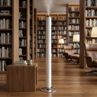 Diffuseur d'arômes professionnel pour hôtel et usage domestique, type Fanluosen, rechargeable par USB-C, atomiseur de parfum à double liquide, application intelligente