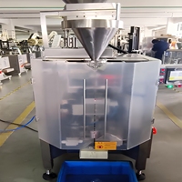 Machine d'emballage de granulés à godets en chaîne avec alimentation automatique, remplissage et scellage pour l'emballage de mélanges de snacks et de mélange de fruits secs