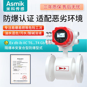 Medidor de Flujo Electromagnético Asmik con Instalación de Brida para Medición de Líquidos Conductivos, Nivel de Precisión 0.5 - Product Image 2