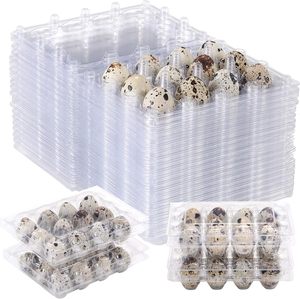 Boîtes d'emballage en plastique PET pour 6, 12, 18, 24, 30 œufs de caille, vente en gros directe usine pour œufs de caille géants et œufs de pigeon - Product Image 5