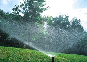 Buse rotative enterrée à 4 points de haute qualité diffusant le <span class=keywords><strong>système</strong></span> <span class=keywords><strong>d</strong></span>'irrigation <span class=keywords><strong>d</strong></span>'eau en plastique <span class=keywords><strong>d</strong></span>'<span class=keywords><strong>arrosage</strong></span> automatique de pelouse - Product Image 5
